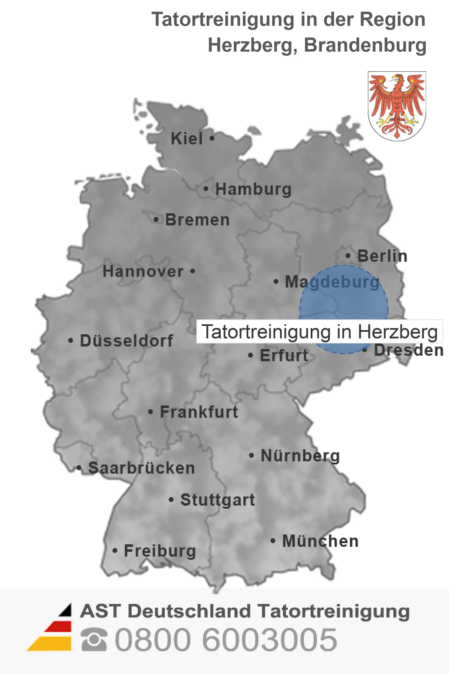 Messie-Entrümpelung Herzberg